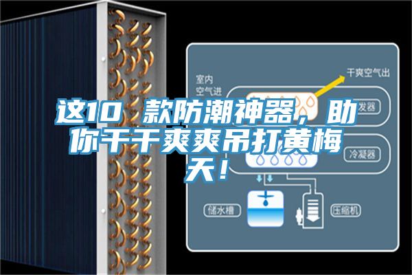 這10 款防潮神器，助你干干爽爽吊打黃梅天！
