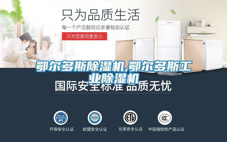 鄂爾多斯除濕機(jī),鄂爾多斯工業(yè)除濕機(jī)