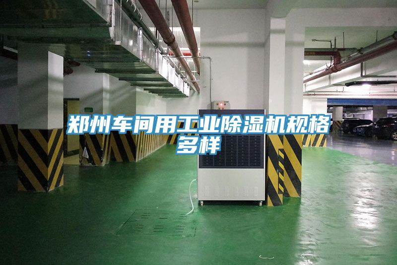 鄭州車間用工業(yè)除濕機(jī)規(guī)格多樣