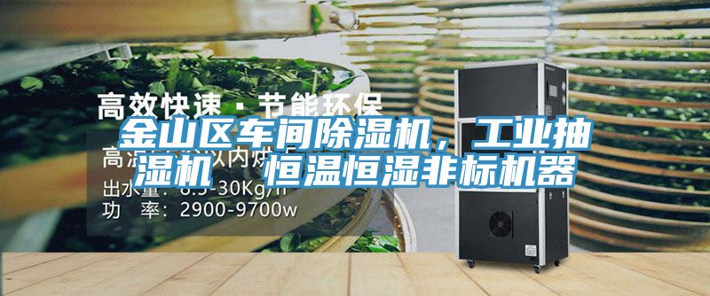 金山區(qū)車間除濕機(jī)，工業(yè)抽濕機(jī)  恒溫恒濕非標(biāo)機(jī)器
