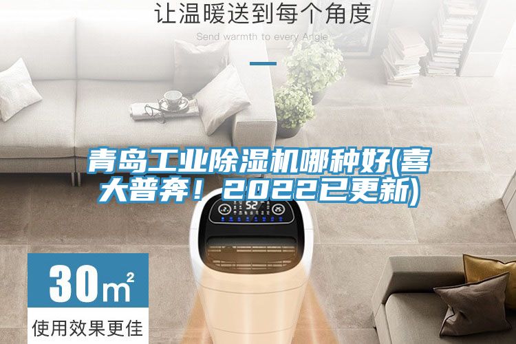 青島工業(yè)除濕機哪種好(喜大普奔！2022已更新)