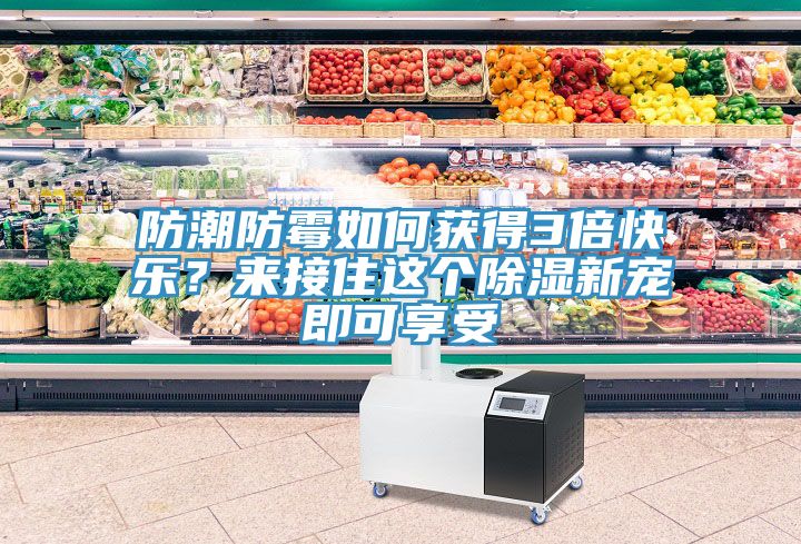 防潮防霉如何獲得3倍快樂？來接住這個除濕新寵即可享受