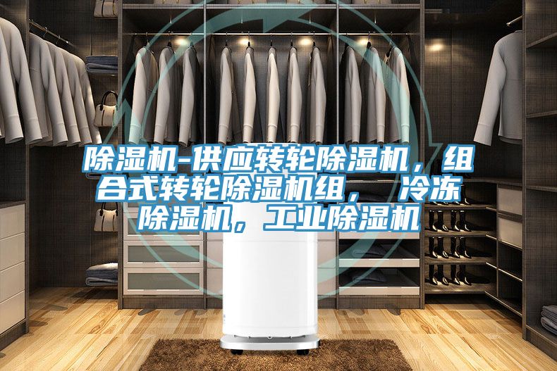 除濕機-供應(yīng)轉(zhuǎn)輪除濕機，組合式轉(zhuǎn)輪除濕機組， 冷凍除濕機，工業(yè)除濕機