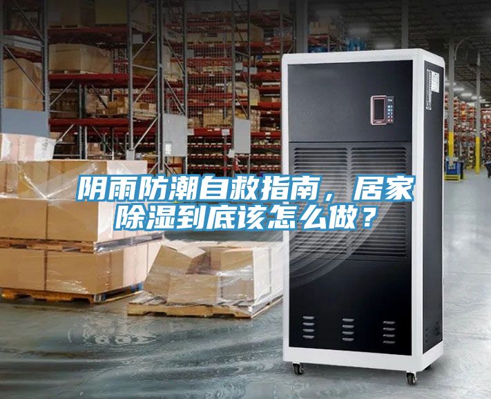 陰雨防潮自救指南，居家除濕到底該怎么做？