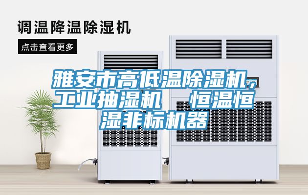 雅安市高低溫除濕機(jī)，工業(yè)抽濕機(jī)  恒溫恒濕非標(biāo)機(jī)器