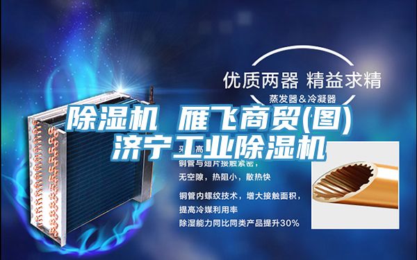 除濕機 雁飛商貿(mào)(圖) 濟寧工業(yè)除濕機