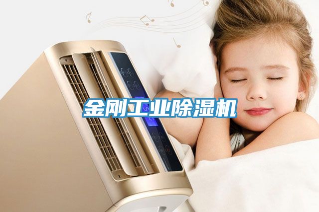 金剛工業(yè)除濕機