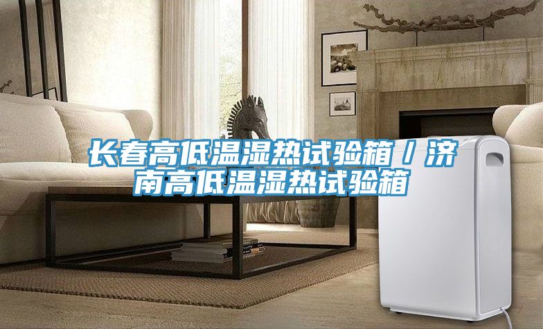 長春高低溫濕熱試驗箱／濟(jì)南高低溫濕熱試驗箱