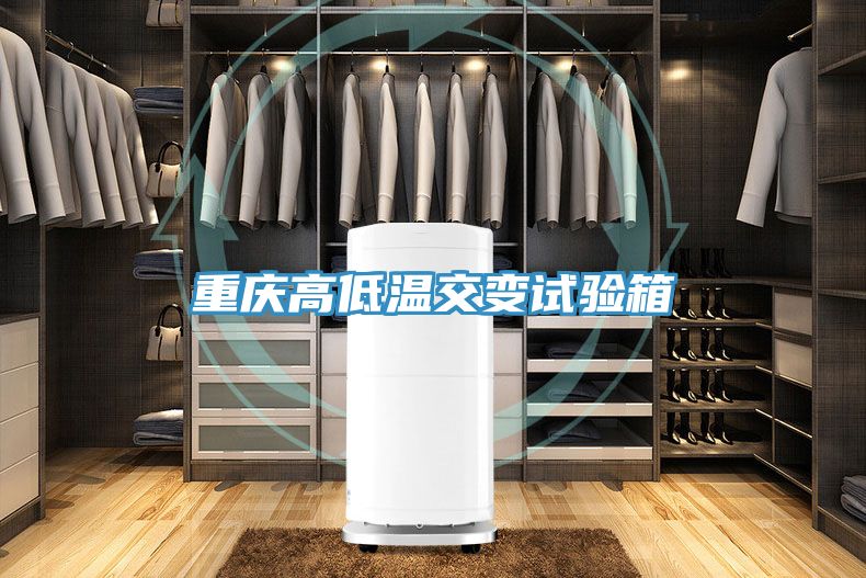 重慶高低溫交變試驗箱