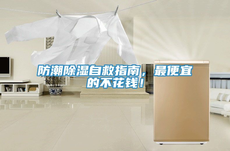 防潮除濕自救指南，最便宜的不花錢！