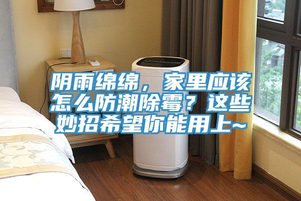 陰雨綿綿，家里應(yīng)該怎么防潮除霉？這些妙招希望你能用上~