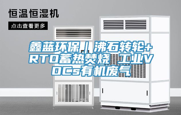 鑫藍環(huán)保｜沸石轉輪+RTO蓄熱焚燒 工業(yè)VOCs有機廢氣