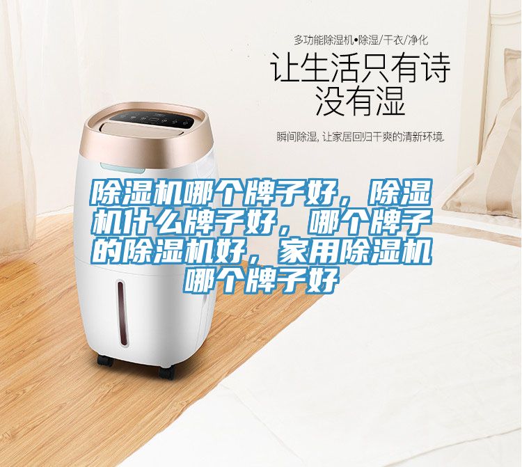 除濕機哪個牌子好，除濕機什么牌子好，哪個牌子的除濕機好，家用除濕機哪個牌子好