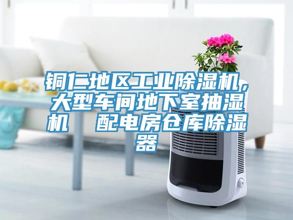 銅仁地區(qū)工業(yè)除濕機，大型車間地下室抽濕機  配電房倉庫除濕器