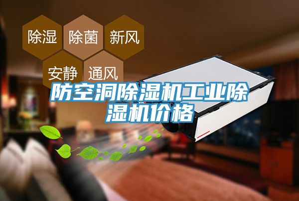 防空洞除濕機(jī)工業(yè)除濕機(jī)價(jià)格