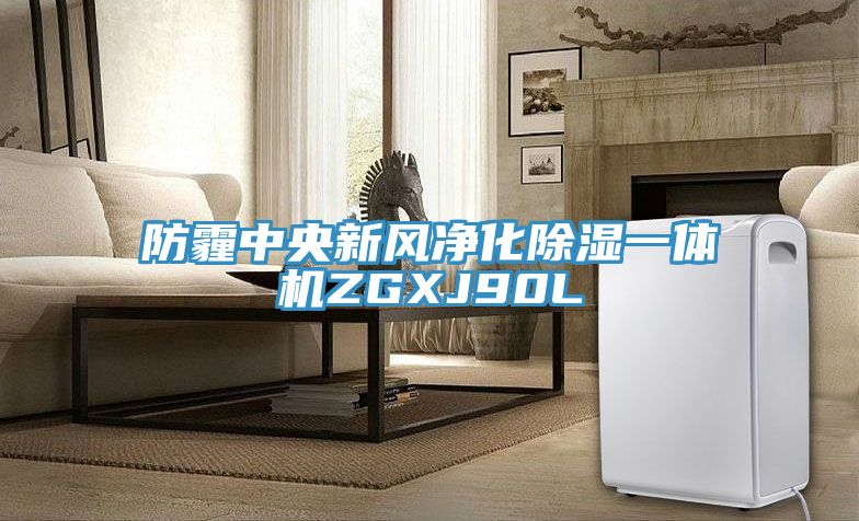 防霾中央新風(fēng)凈化除濕一體機(jī)ZGXJ90L