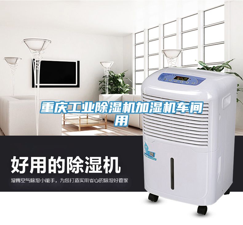 重慶工業(yè)除濕機加濕機車間用
