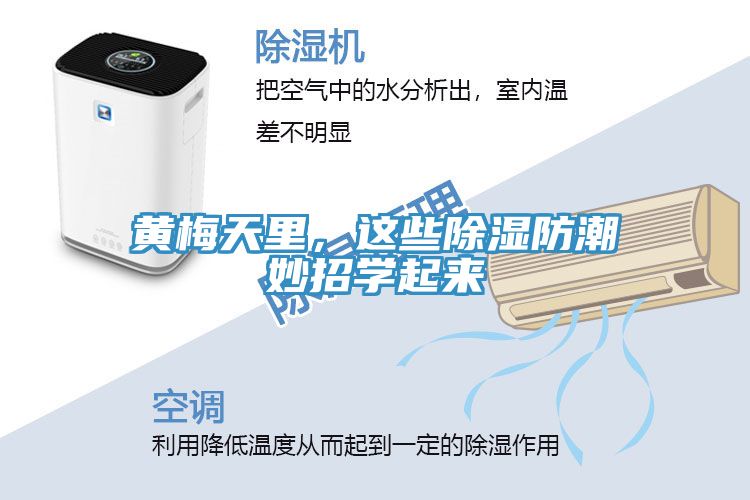 黃梅天里，這些除濕防潮妙招學(xué)起來(lái)
