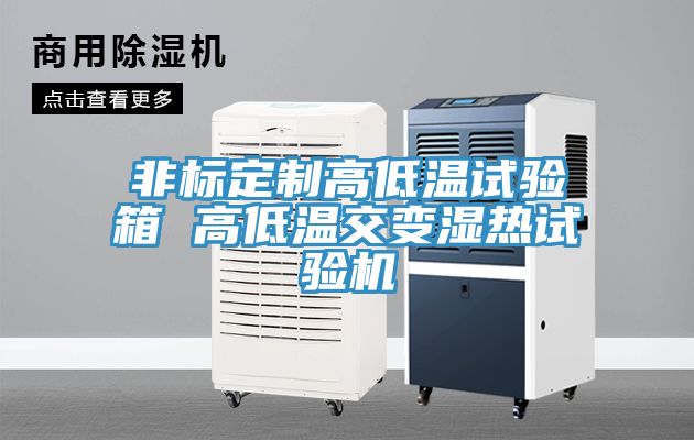 非標(biāo)定制高低溫試驗箱 高低溫交變濕熱試驗機