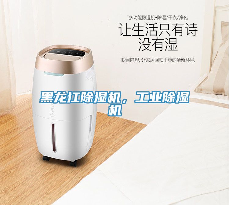 黑龍江除濕機(jī)，工業(yè)除濕機(jī)