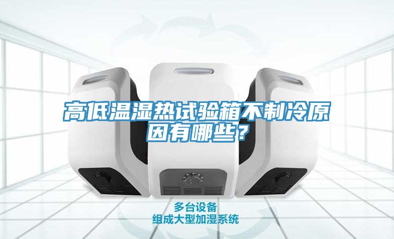 高低溫濕熱試驗箱不制冷原因有哪些？