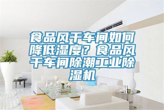 食品風(fēng)干車間如何降低濕度？食品風(fēng)干車間除潮工業(yè)除濕機(jī)