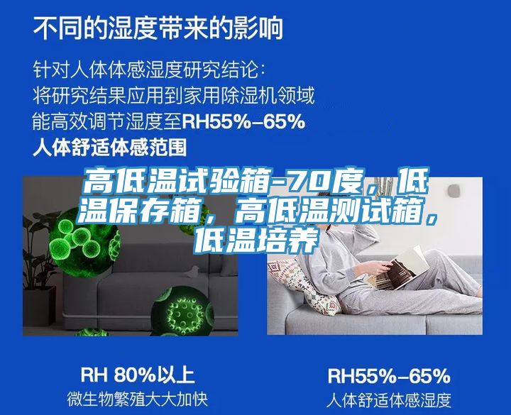 高低溫試驗箱-70度，低溫保存箱，高低溫測試箱，低溫培養(yǎng)