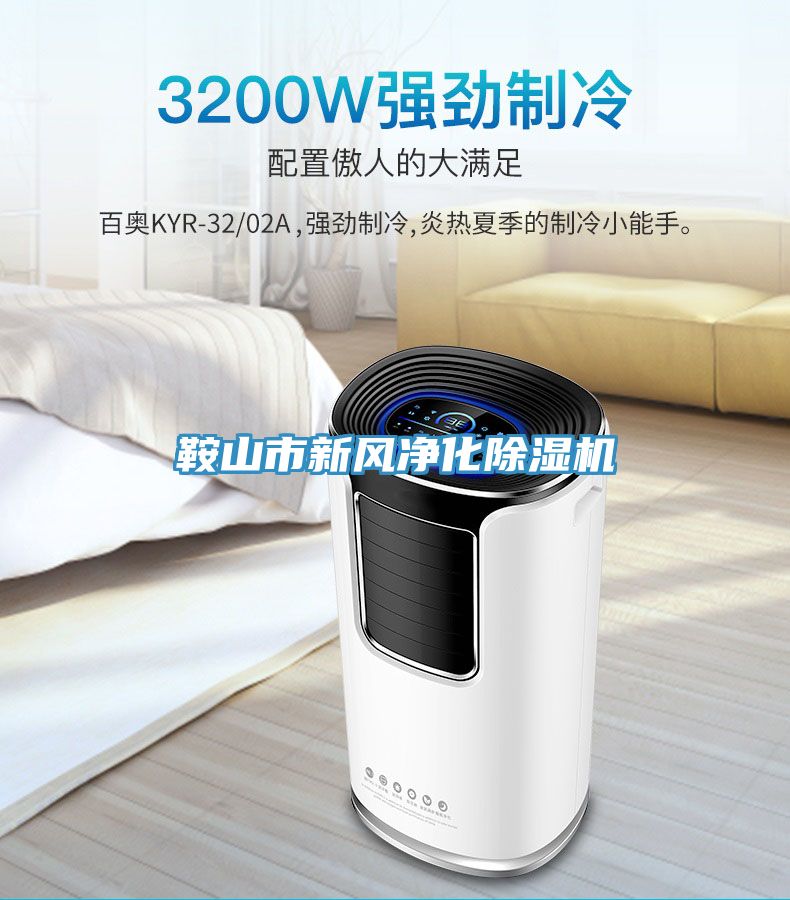 鞍山市新風(fēng)凈化除濕機