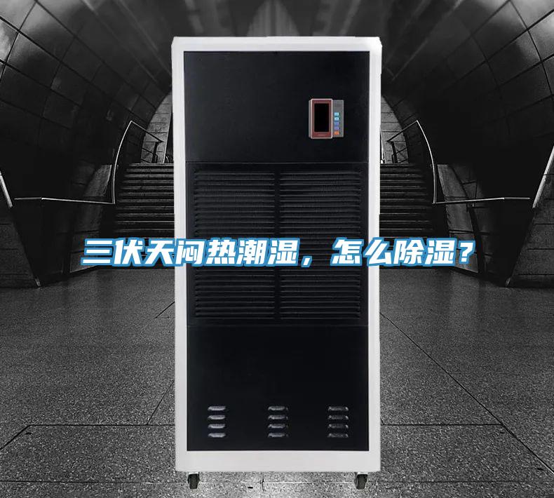 三伏天悶熱潮濕，怎么除濕？
