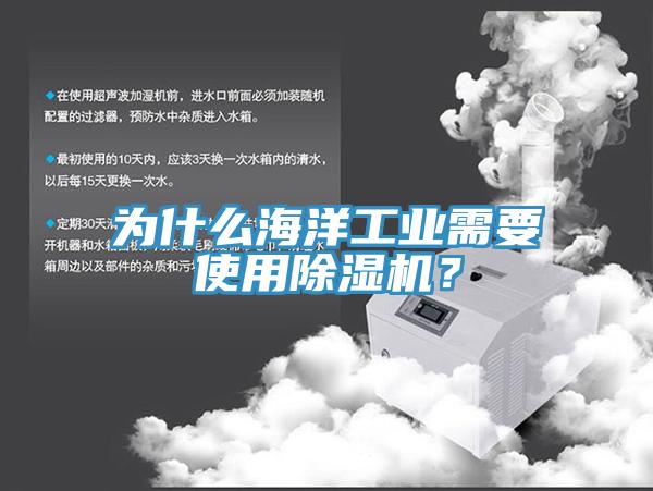 為什么海洋工業(yè)需要使用除濕機(jī)？