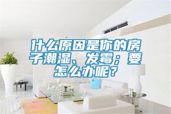 什么原因是你的房子潮濕、發(fā)霉；要怎么辦呢？
