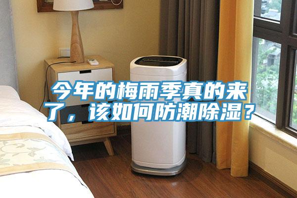 今年的梅雨季真的來了，該如何防潮除濕？