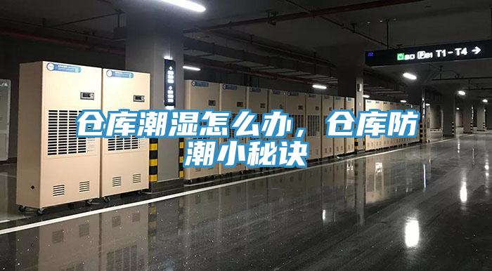 倉庫潮濕怎么辦，倉庫防潮小秘訣