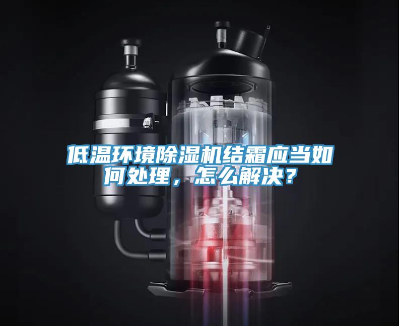 低溫環(huán)境除濕機結(jié)霜應(yīng)當(dāng)如何處理，怎么解決？