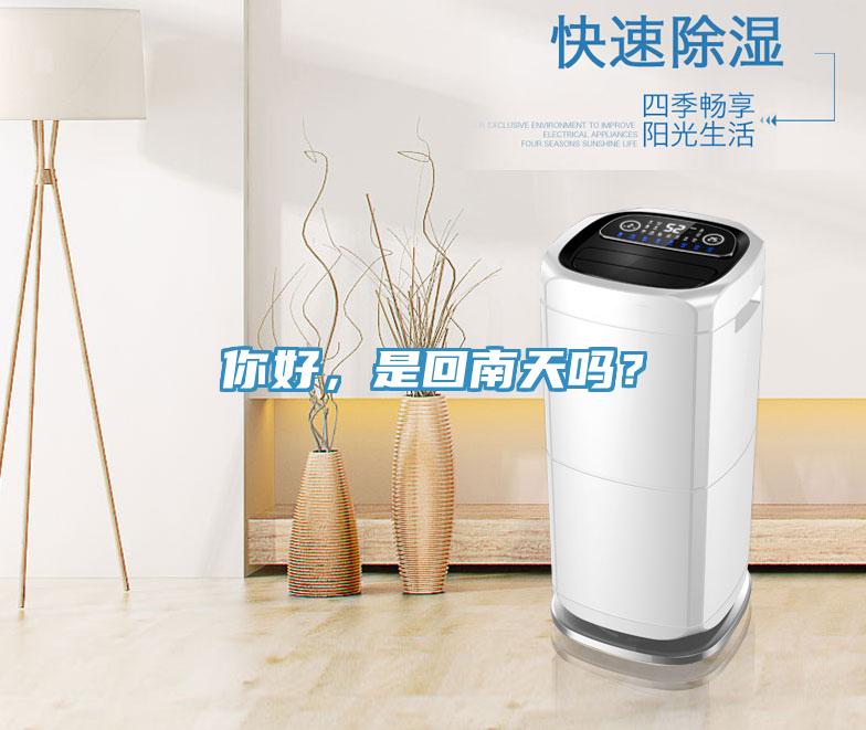 你好，是回南天嗎？