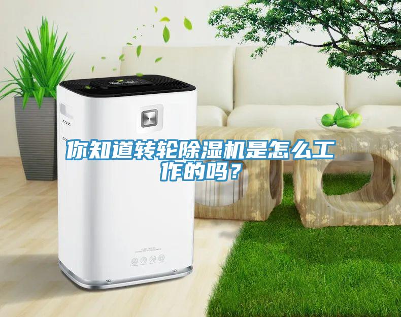 你知道轉(zhuǎn)輪除濕機(jī)是怎么工作的嗎？