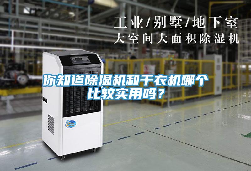 你知道除濕機(jī)和干衣機(jī)哪個(gè)比較實(shí)用嗎？