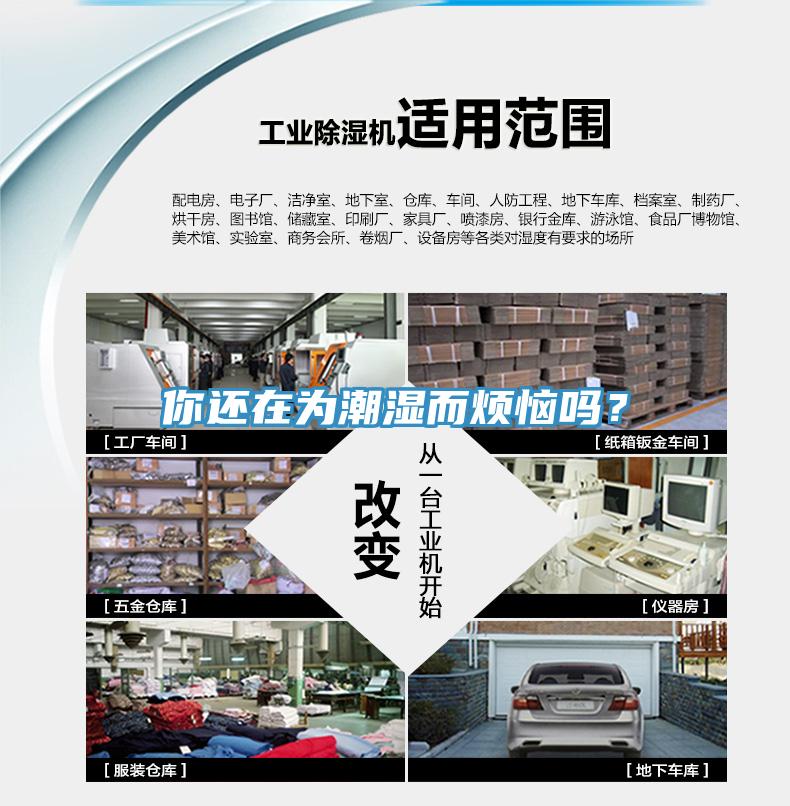 你還在為潮濕而煩惱嗎？