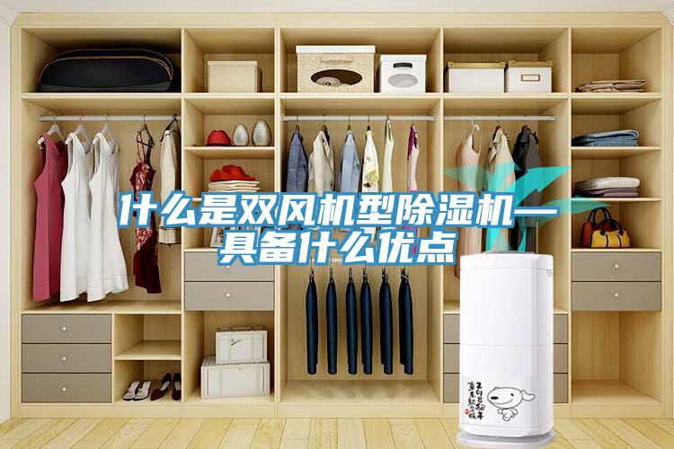 什么是雙風(fēng)機型除濕機—具備什么優(yōu)點