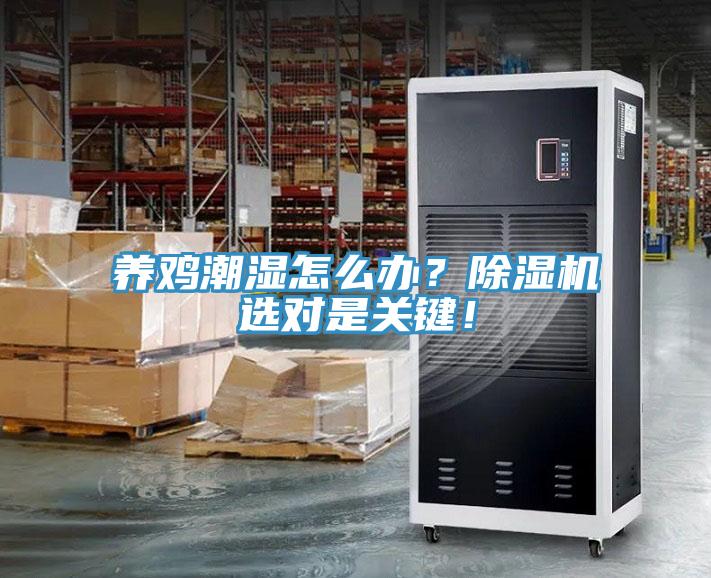 養(yǎng)雞潮濕怎么辦？除濕機選對是關(guān)鍵！