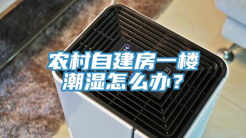 農(nóng)村自建房一樓潮濕怎么辦？