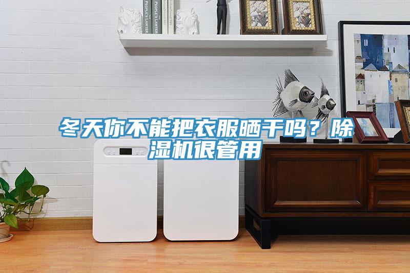 冬天你不能把衣服曬干嗎？除濕機很管用