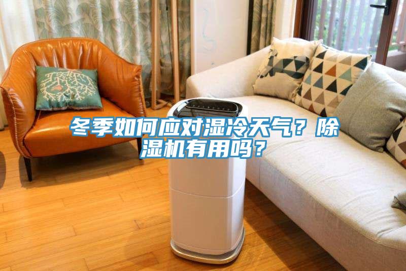 冬季如何應對濕冷天氣？除濕機有用嗎？