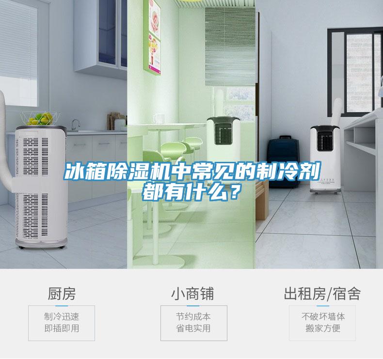 冰箱除濕機中常見的制冷劑都有什么？