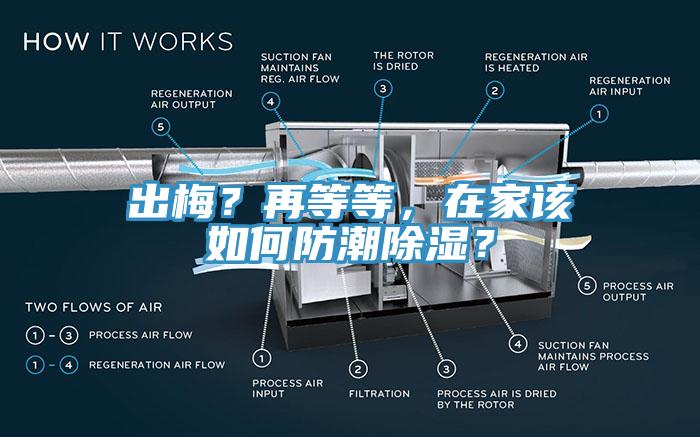 出梅？再等等，在家該如何防潮除濕？