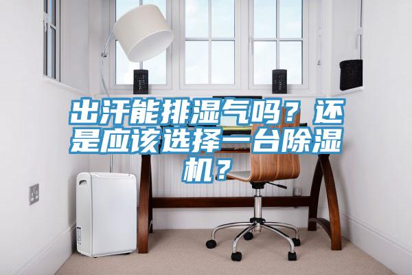 出汗能排濕氣嗎？還是應(yīng)該選擇一臺除濕機？