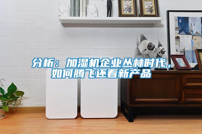 分析：加濕機(jī)企業(yè)叢林時代，如何騰飛還看新產(chǎn)品