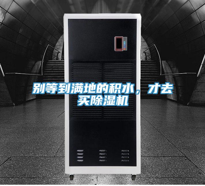 別等到滿地的積水，才去買除濕機(jī)