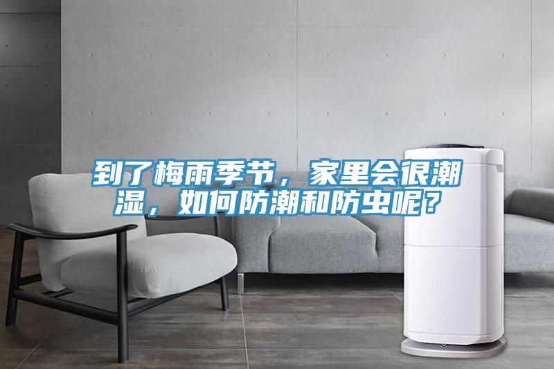 到了梅雨季節(jié)，家里會很潮濕，如何防潮和防蟲呢？