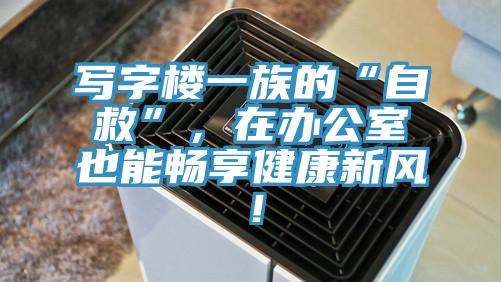 寫字樓一族的“自救”，在辦公室也能暢享健康新風(fēng)！